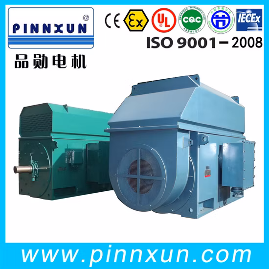 Motore ad alta tensione Motore del compressore d'aria della pompa dell'acqua del ventilatore assiale del ventilatore a induzione trifase