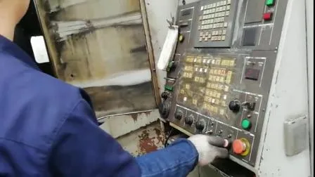 Albero cardanico modello diverso agricolo per fornitura di fabbrica in Cina